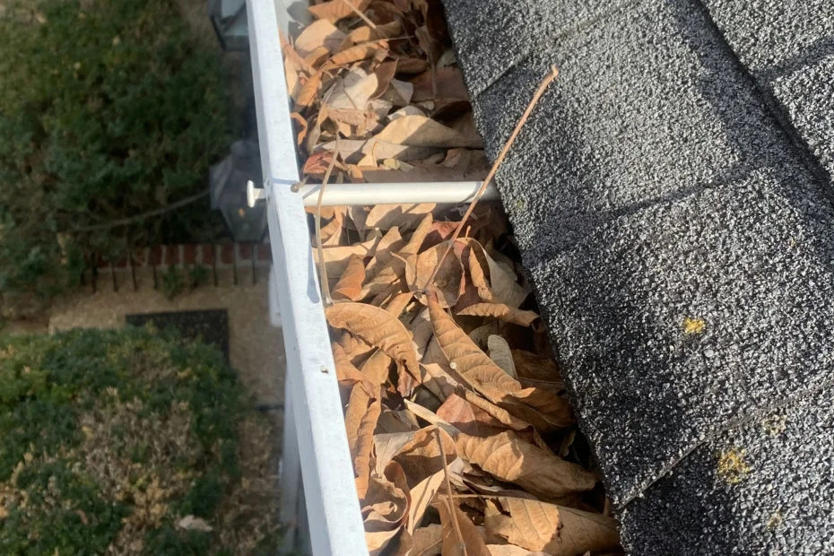 Gutter Cleaning Valley Park