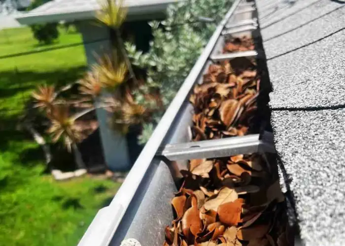 Gutter Cleaning Valley Park home page