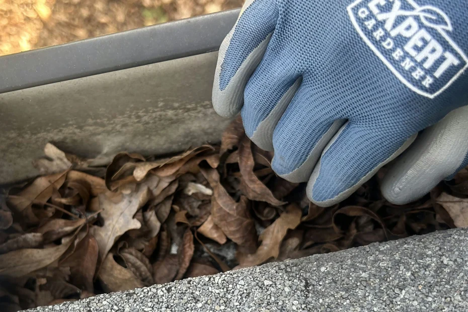 Valley Park Gutter Cleaning
